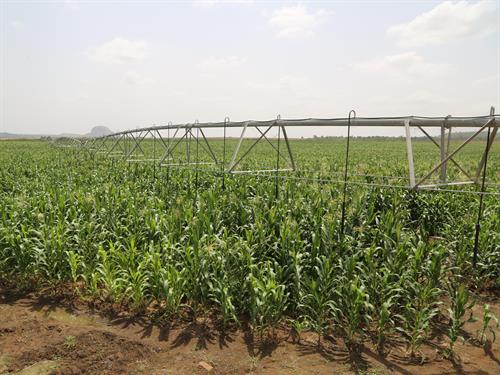Construction of Azara – Jere Irrigation Scheme
